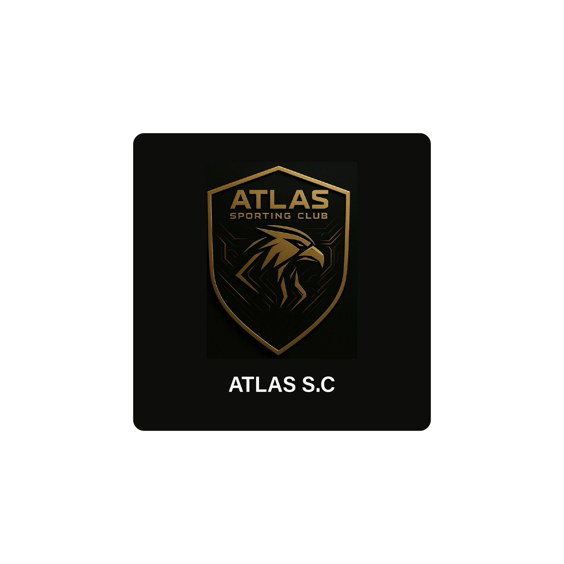 Mousepad ATLAS SPORTING CLUB 50x50 PRO | Custom