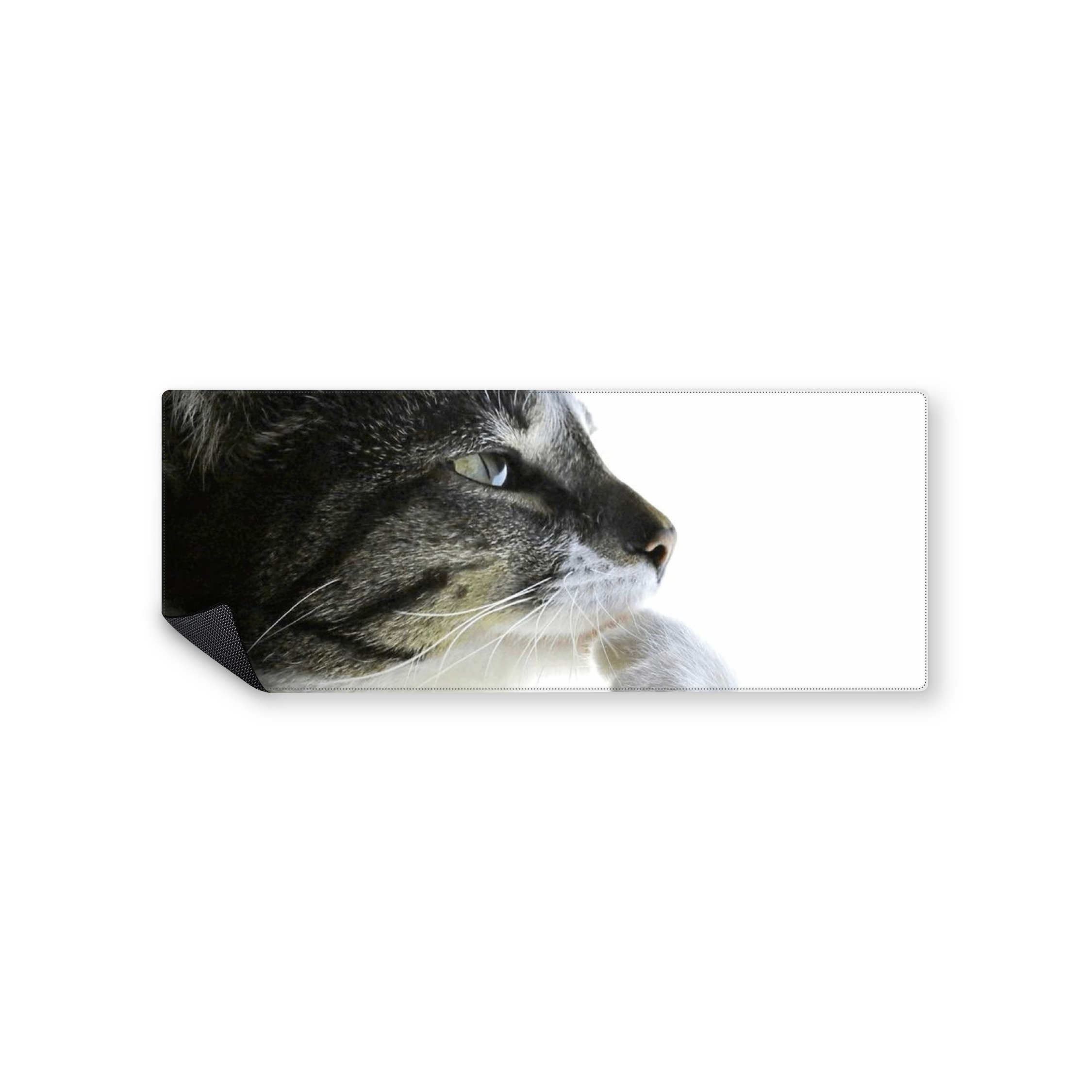 Mousepad Gato 82x32 Classic | Custom