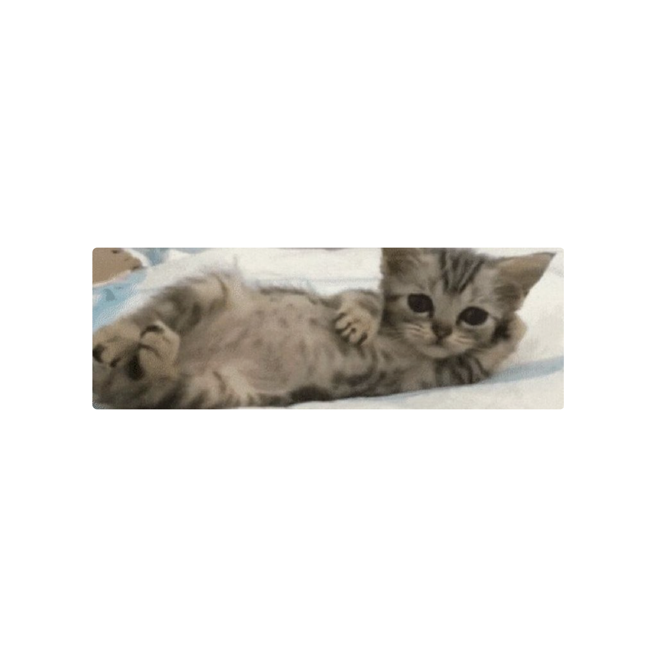 Mousepad Gato acostado 90x30 Classic | Custom