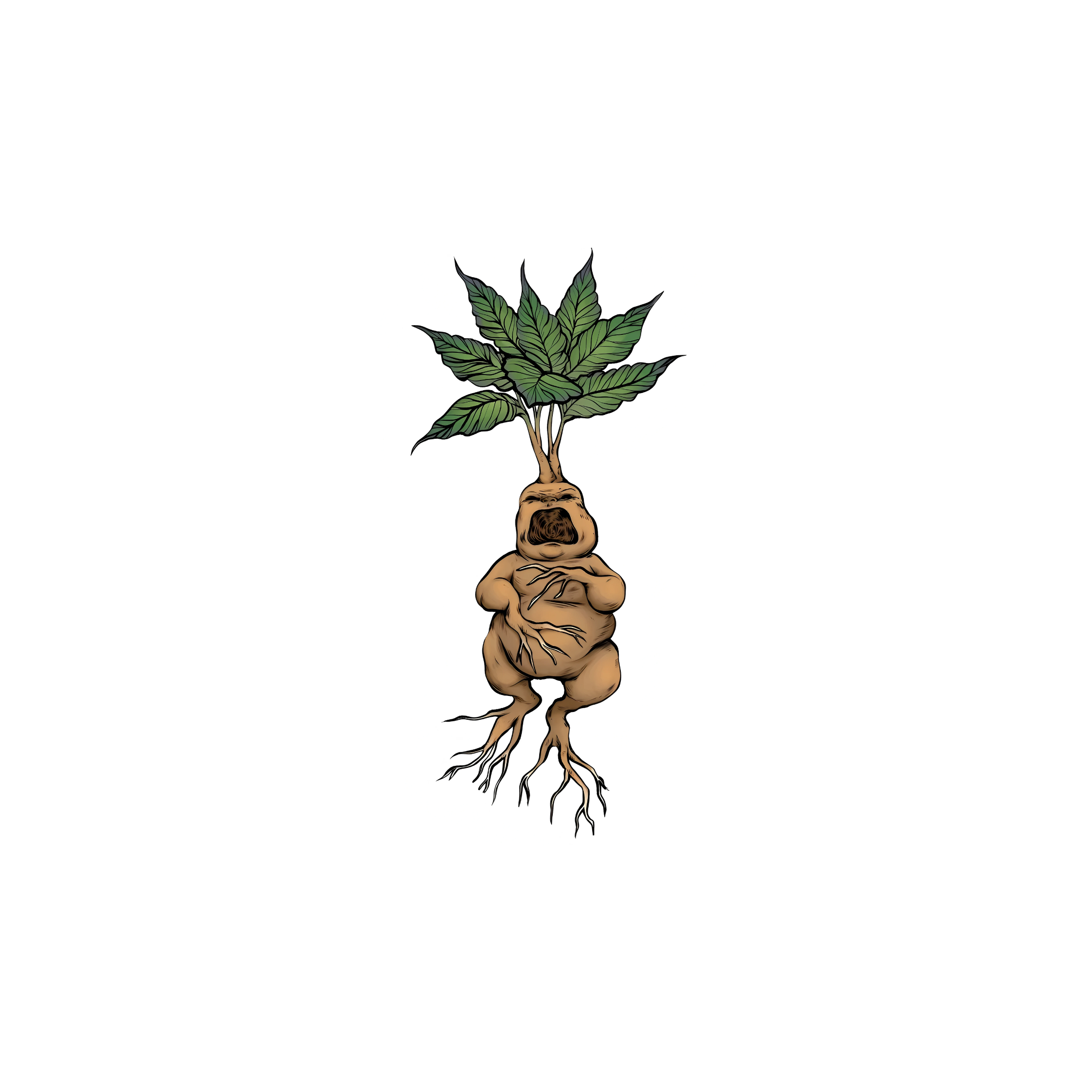 Mousepad Mandragora 25x37 Classic | Custom