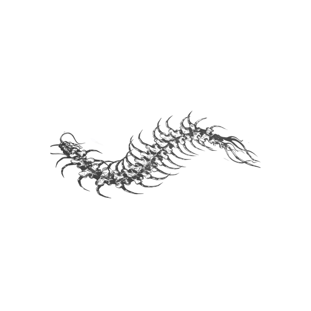 centiepede