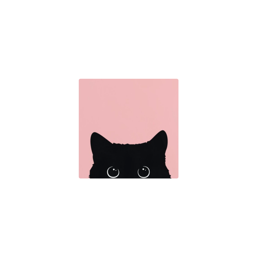 kuro neko