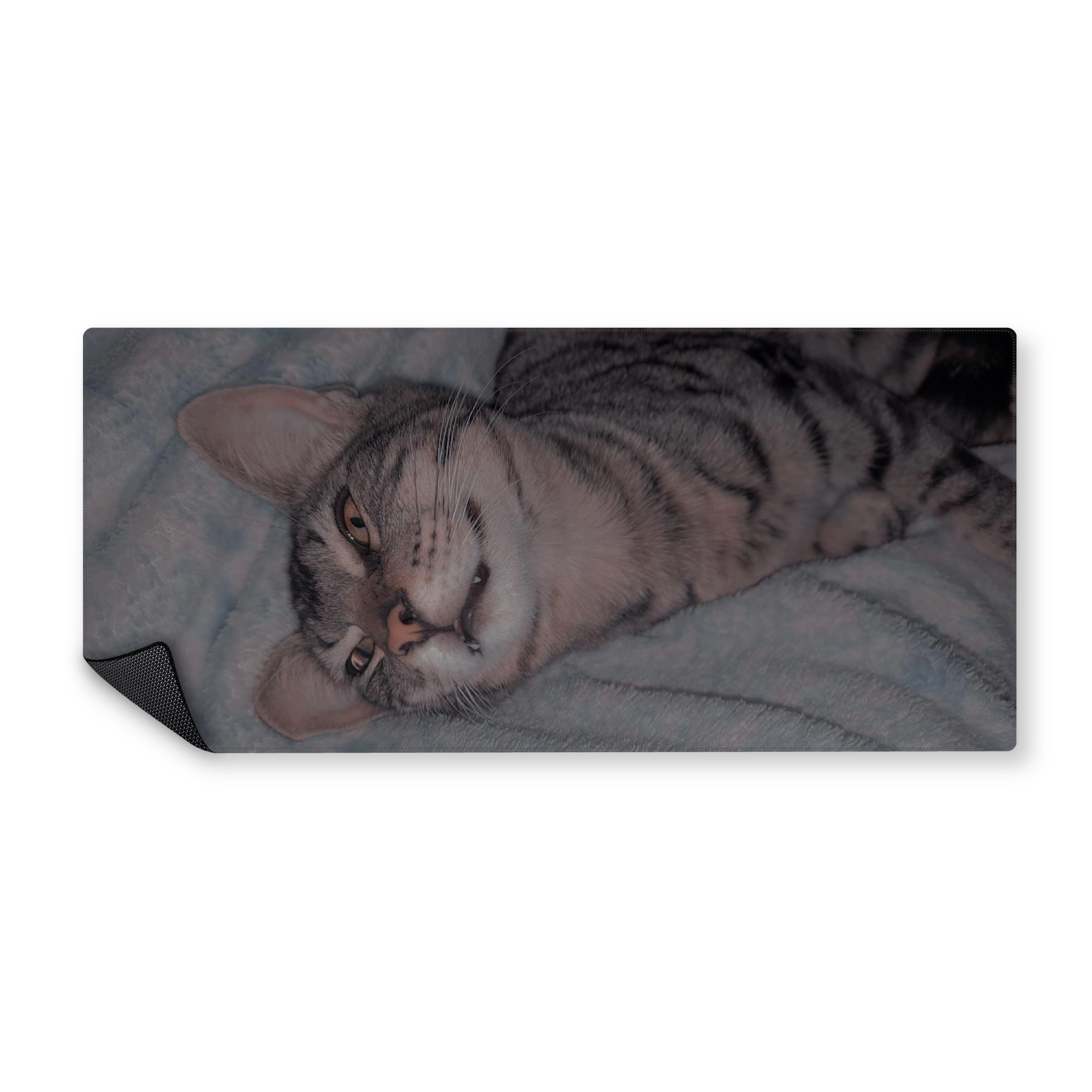 Mousepad Panchito 90x40 Classic | Custom