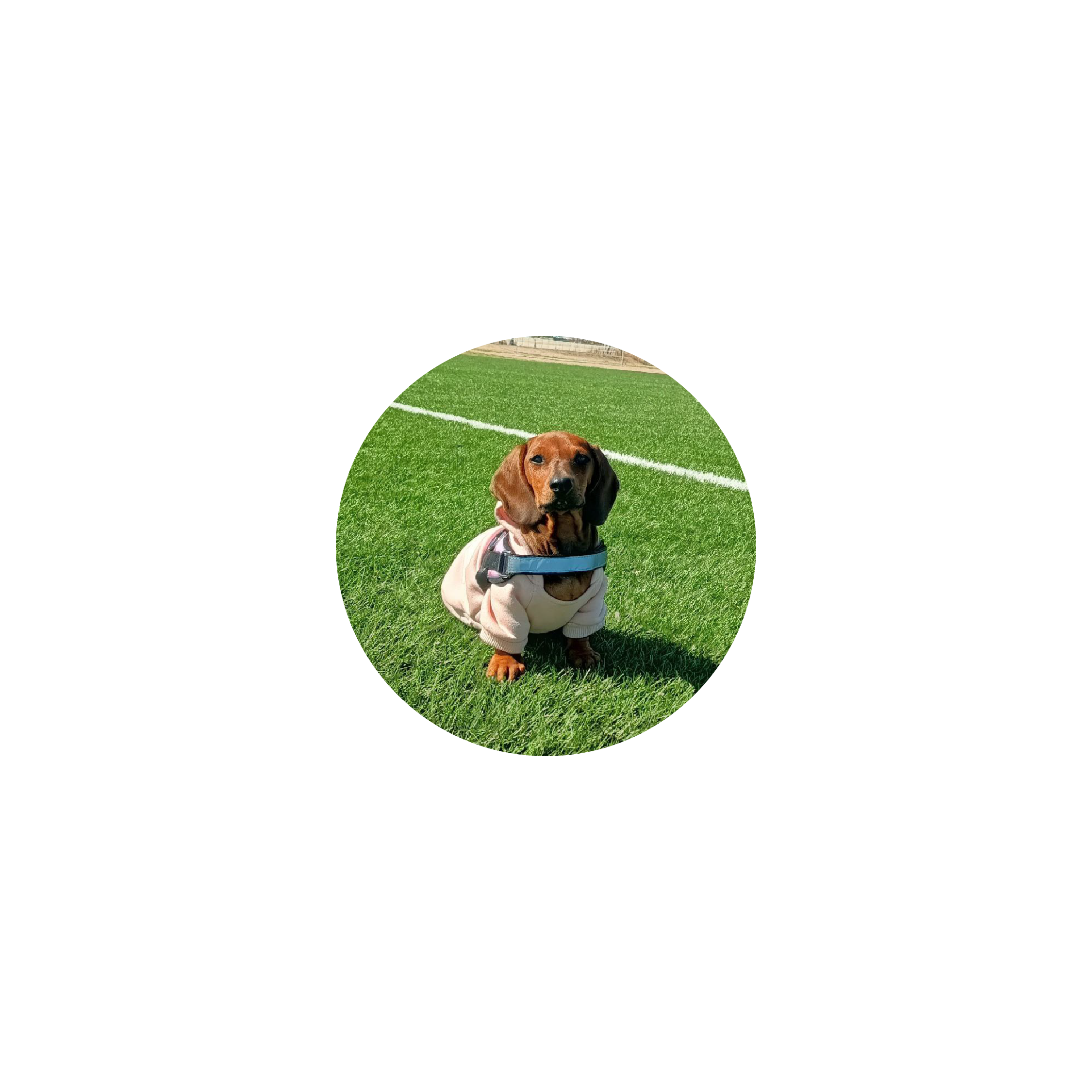 Mousepad Thiago 25x25 Form Classic | Custom