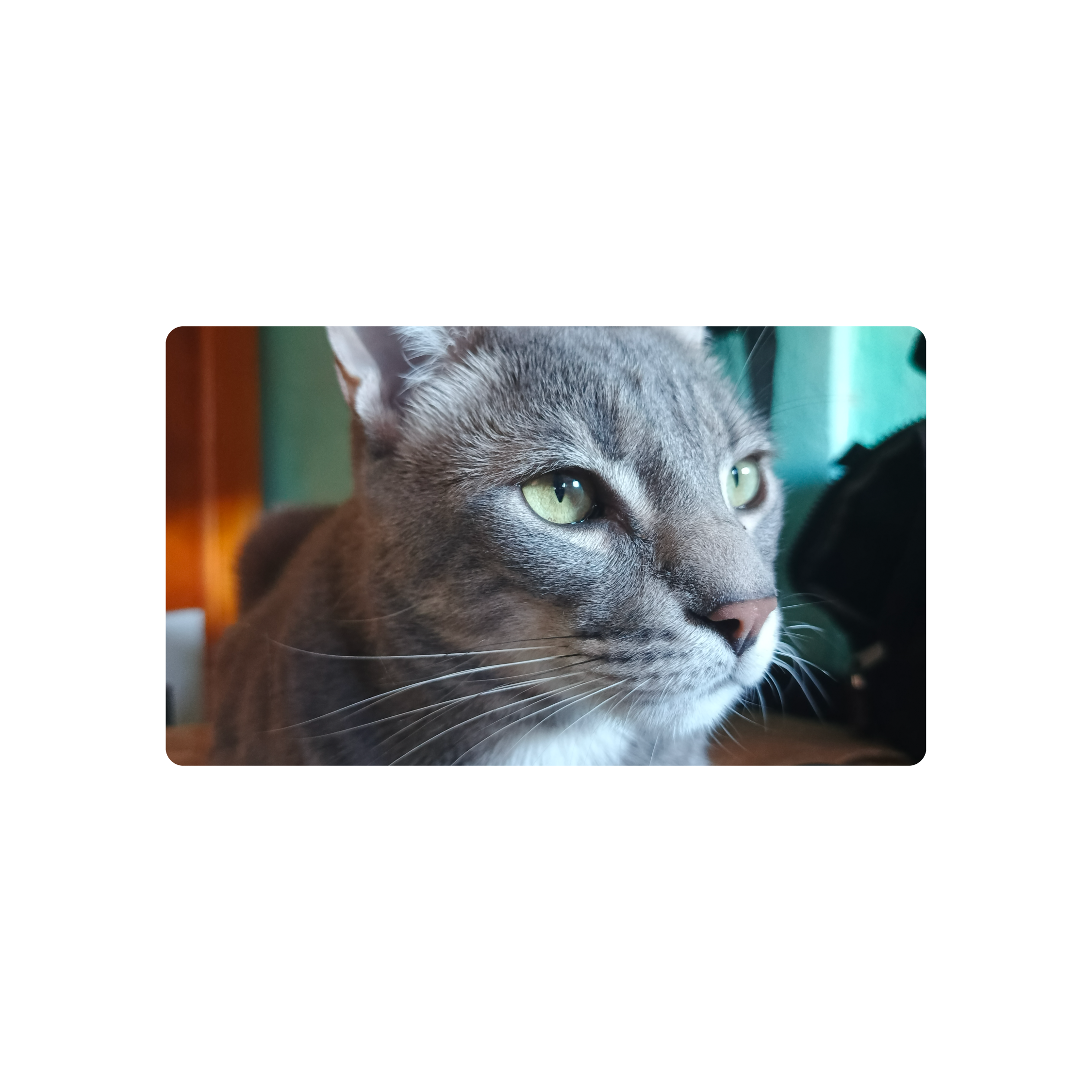 Mousepad Romeo Gato perlado 61x35 Classic | Custom