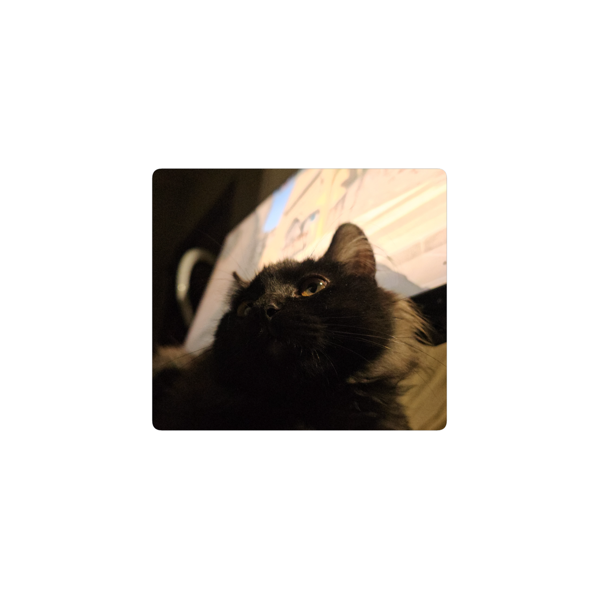 Tuca