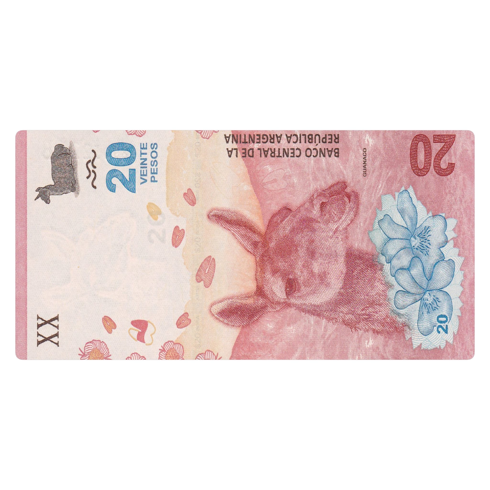 20 pesos guanaco