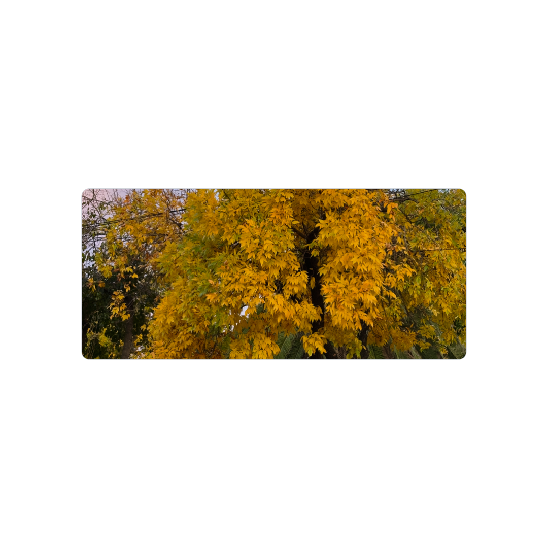 arbol