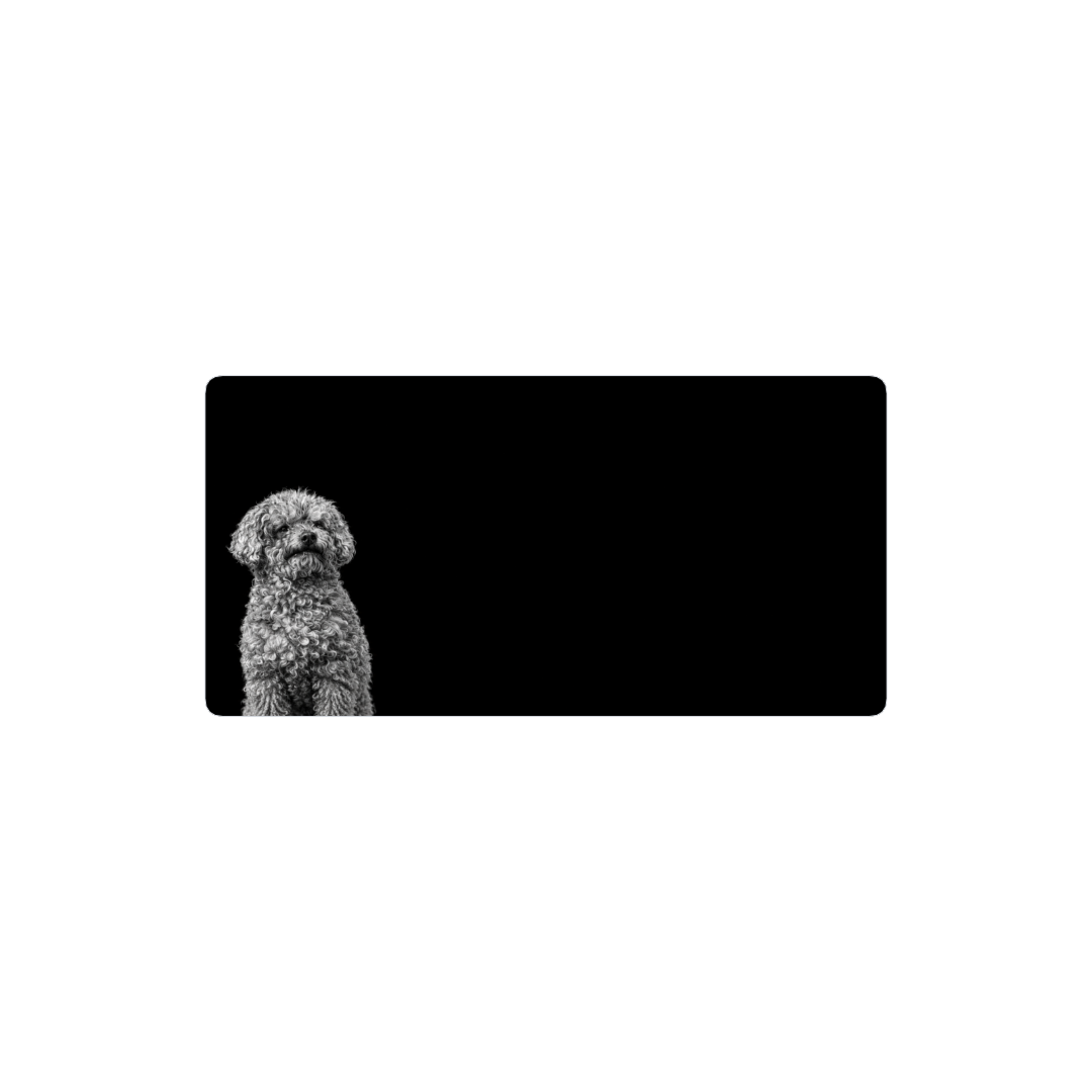 Floppy