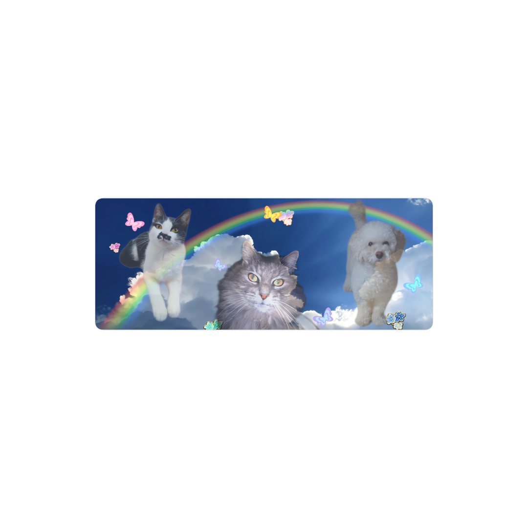 Gatitos