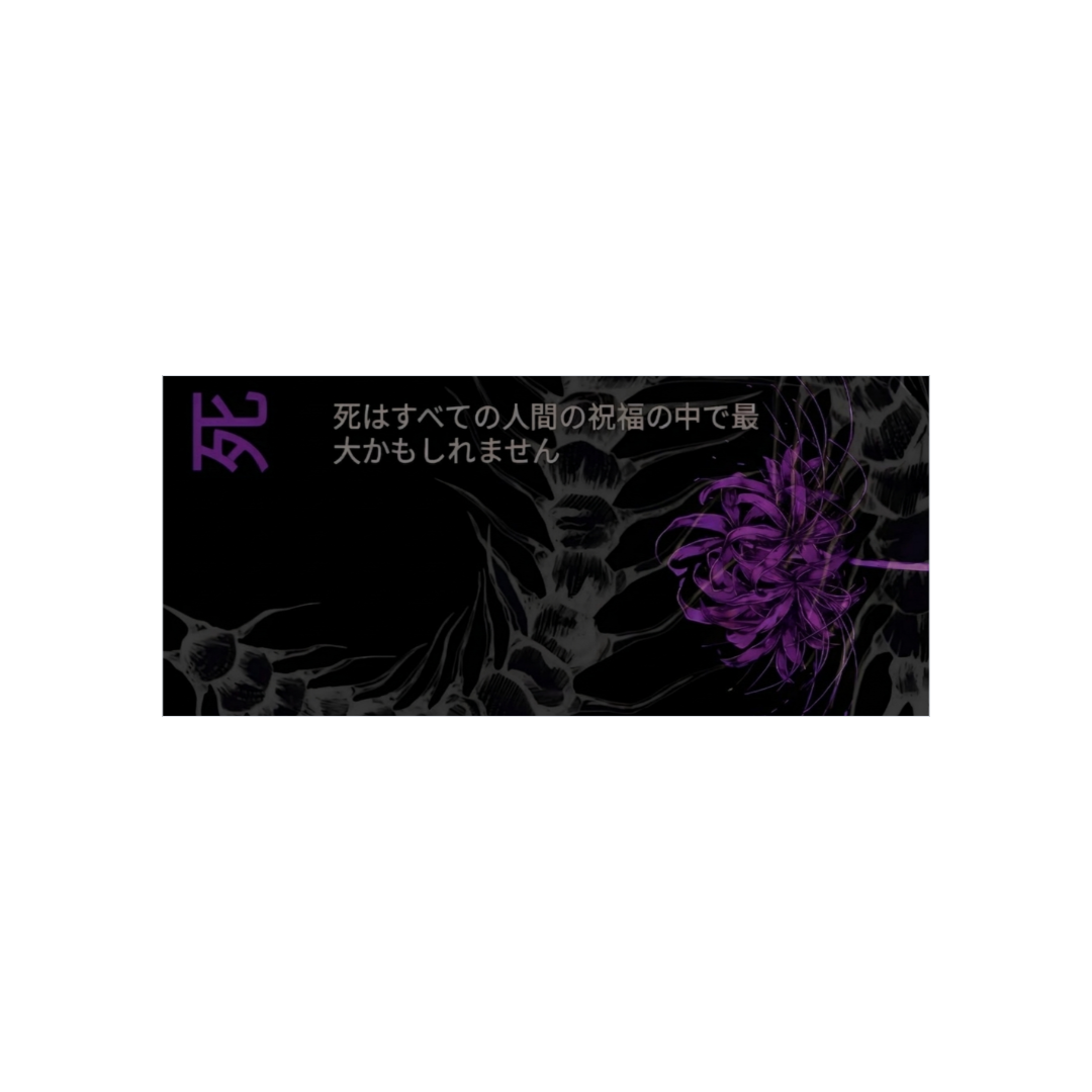 Lycoris Morada HD
