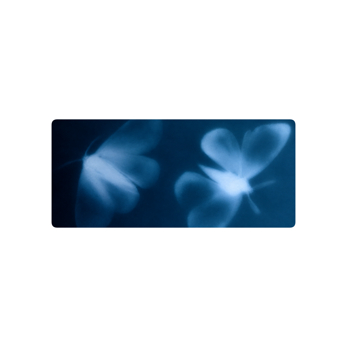 Mariposas