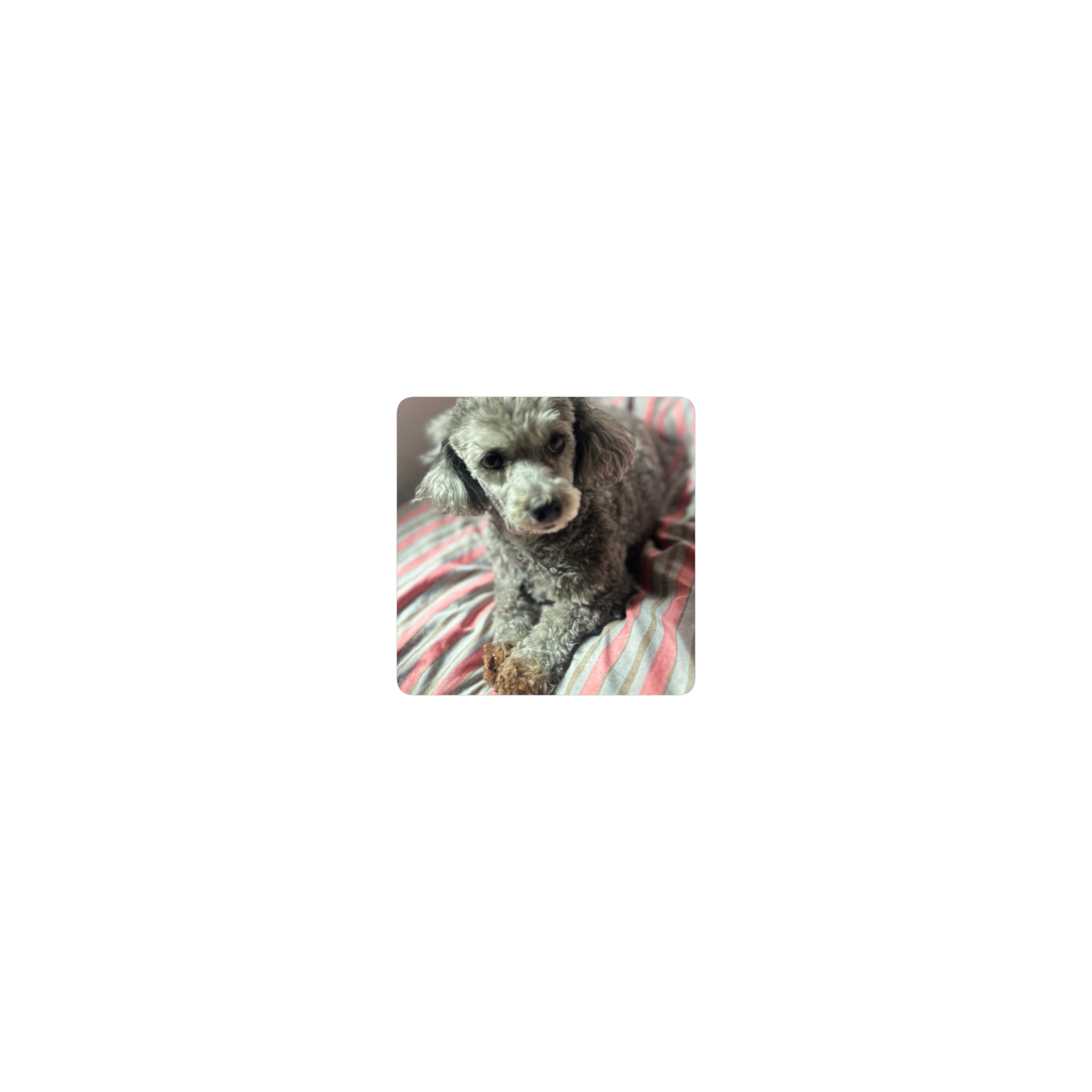 Morita