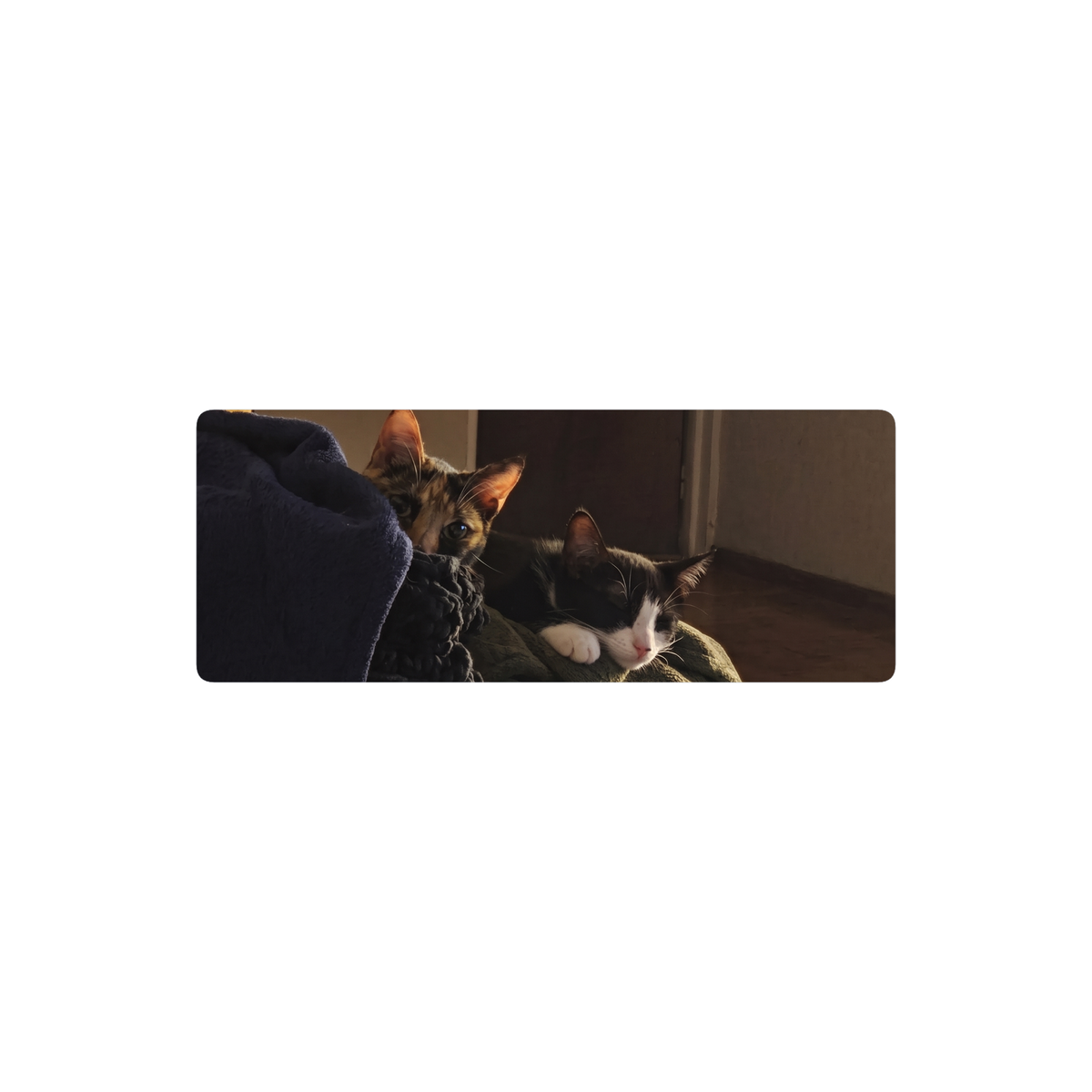Neku y Mish