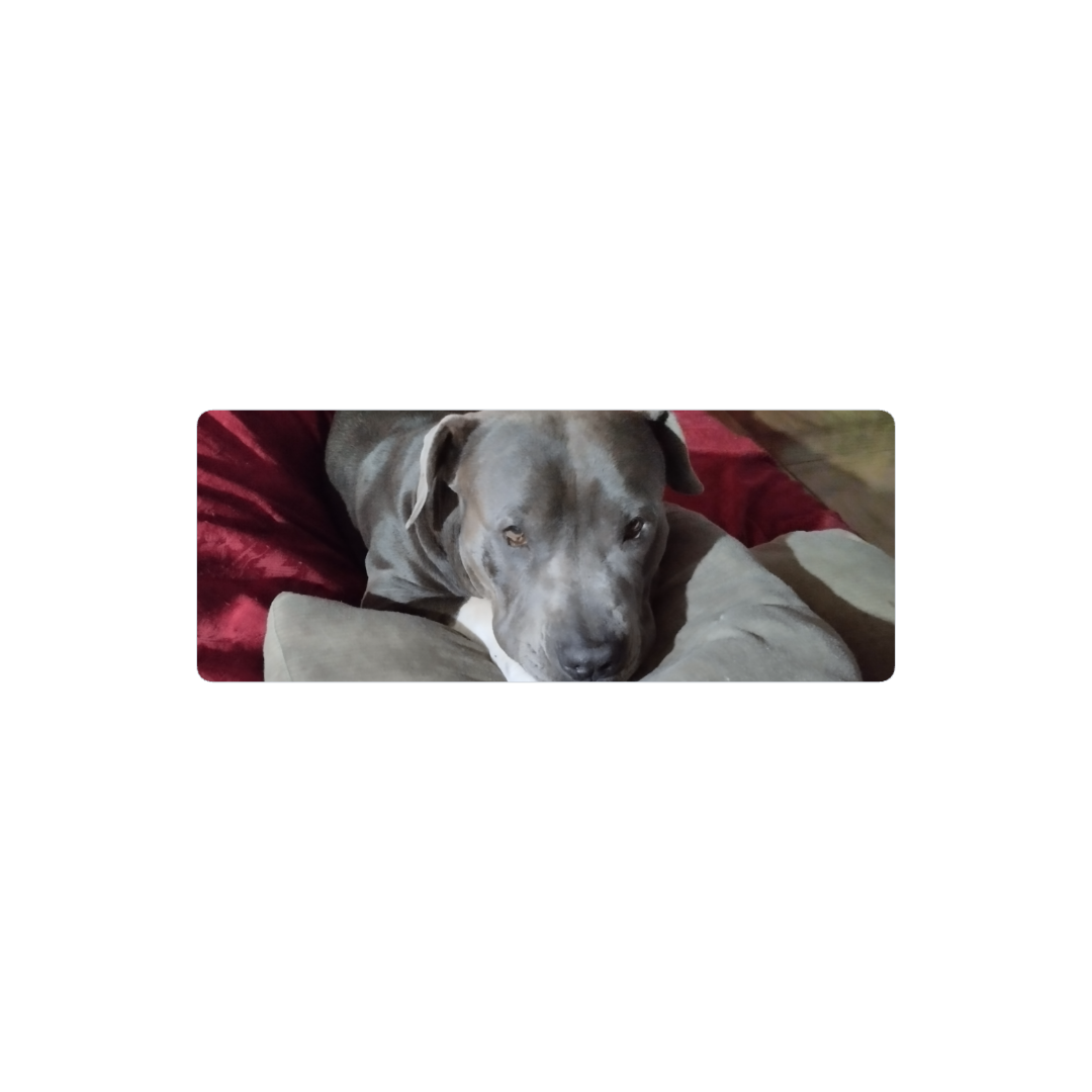 Perro