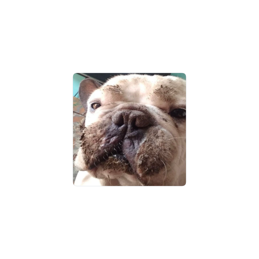 Tyson