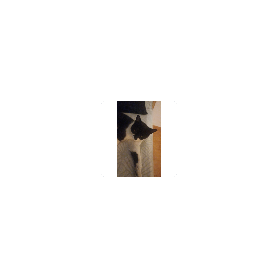 manchita