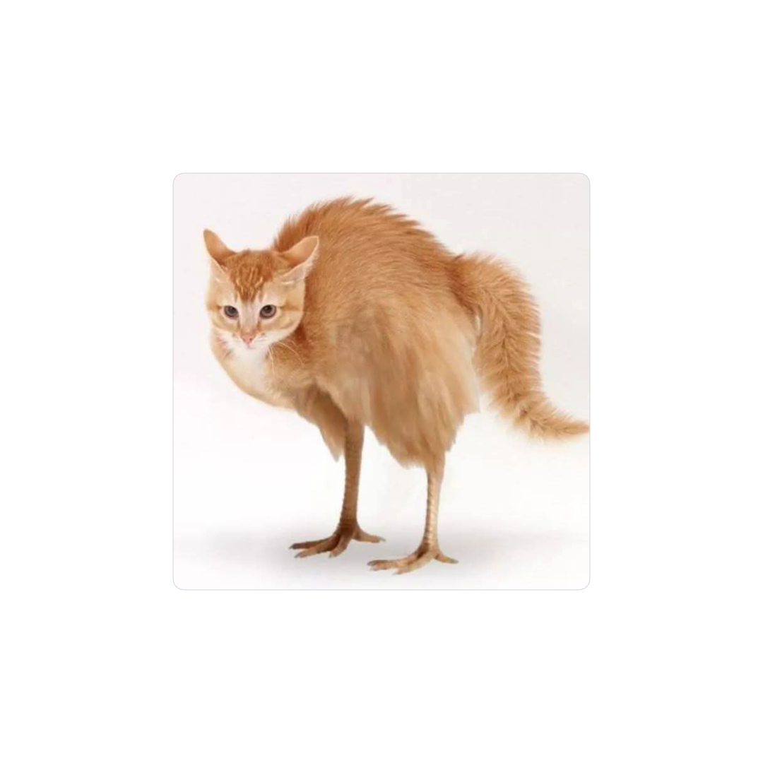 Que