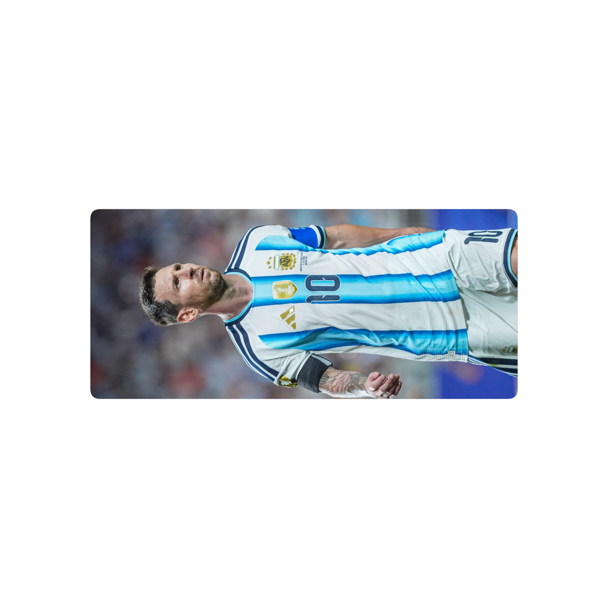 sadsa