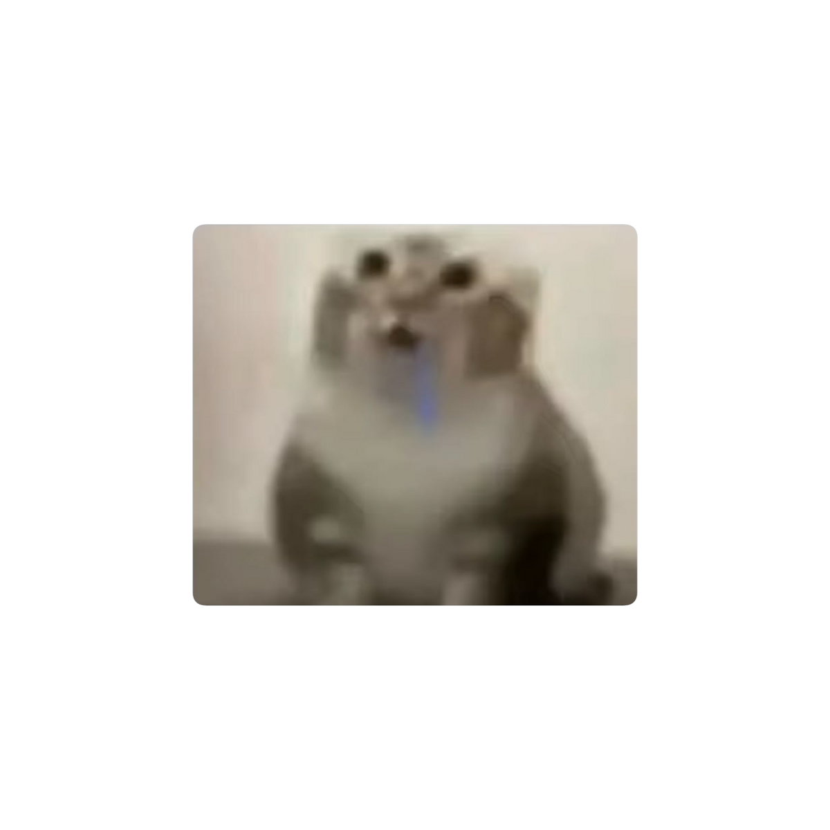 no me juzguen