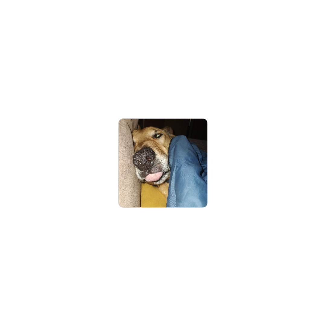 Spike