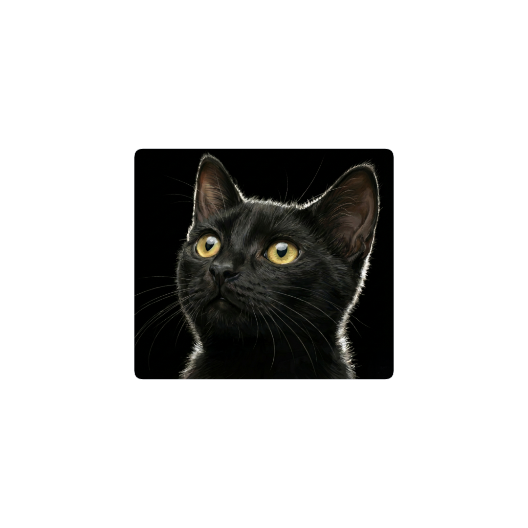 josedeodo mi gato