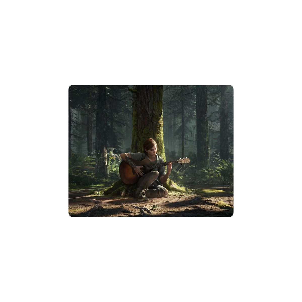 The last of us alejo