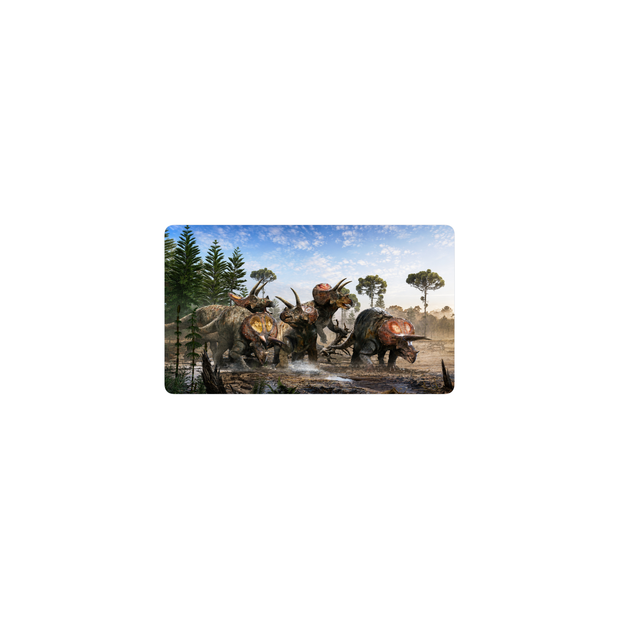 triceratops