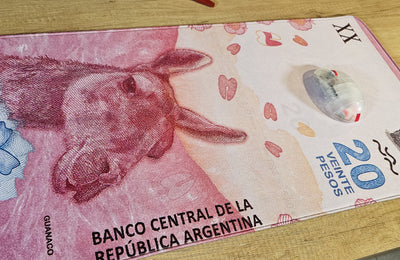 Mousepad 20 Pesos Guanaco | NOTMID