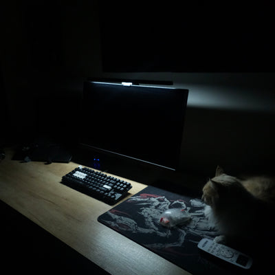 Barra de luz para monitores 50cm | NOT DROP