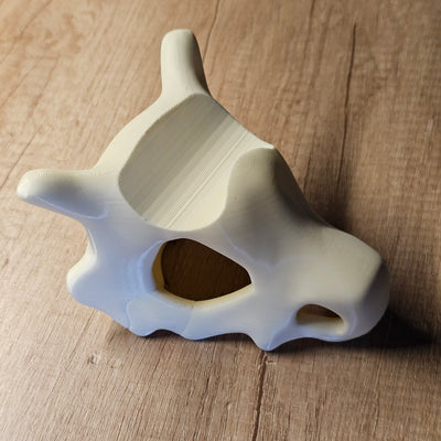 Apoya Joystick Draskull | NOTMID 3D