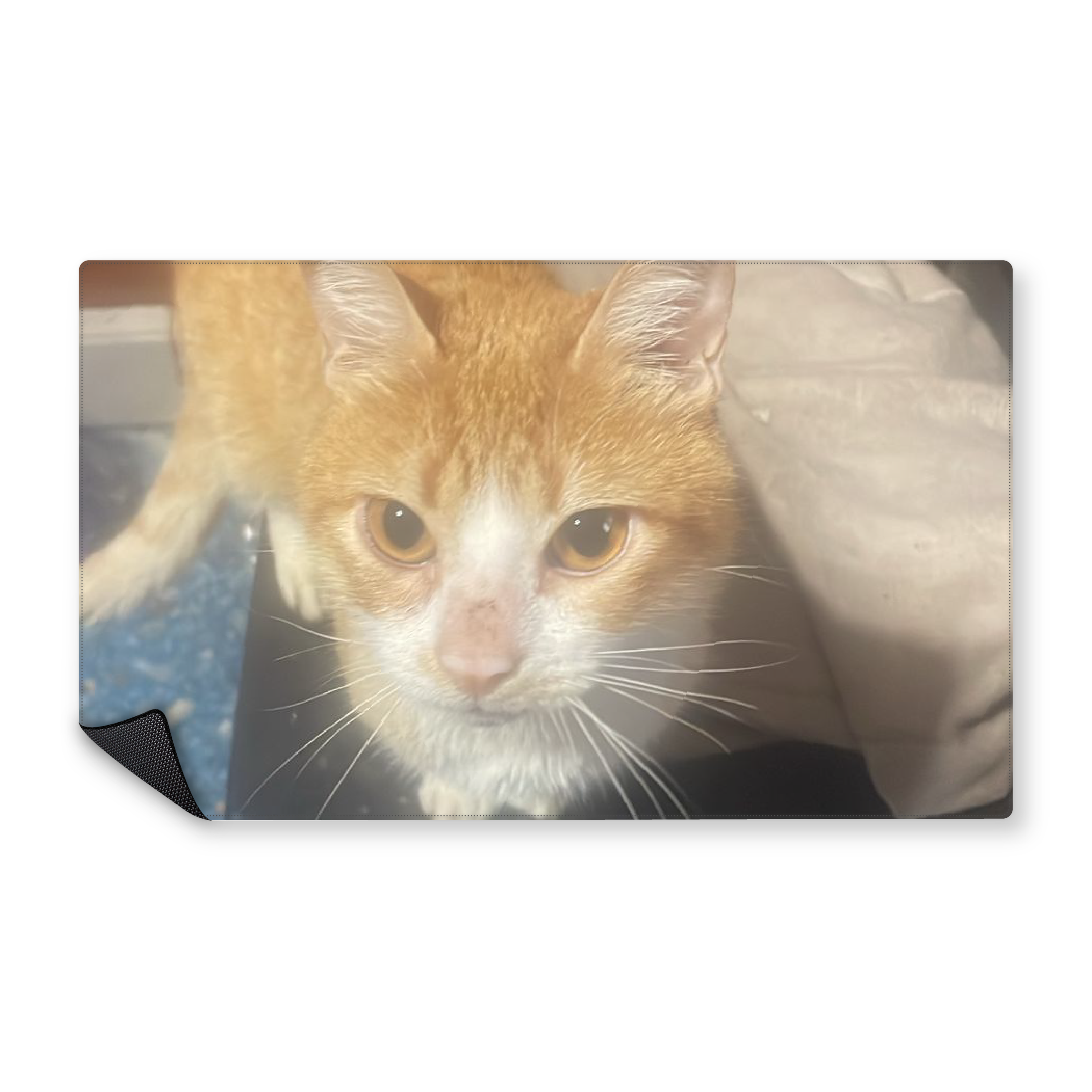 Mousepad Gato de miguel 100x60 Classic | Custom