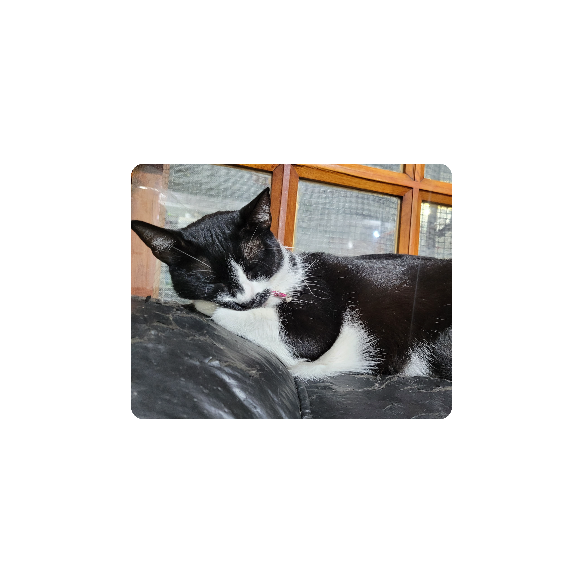 Mousepad La gordita 50x40 PRO | Custom