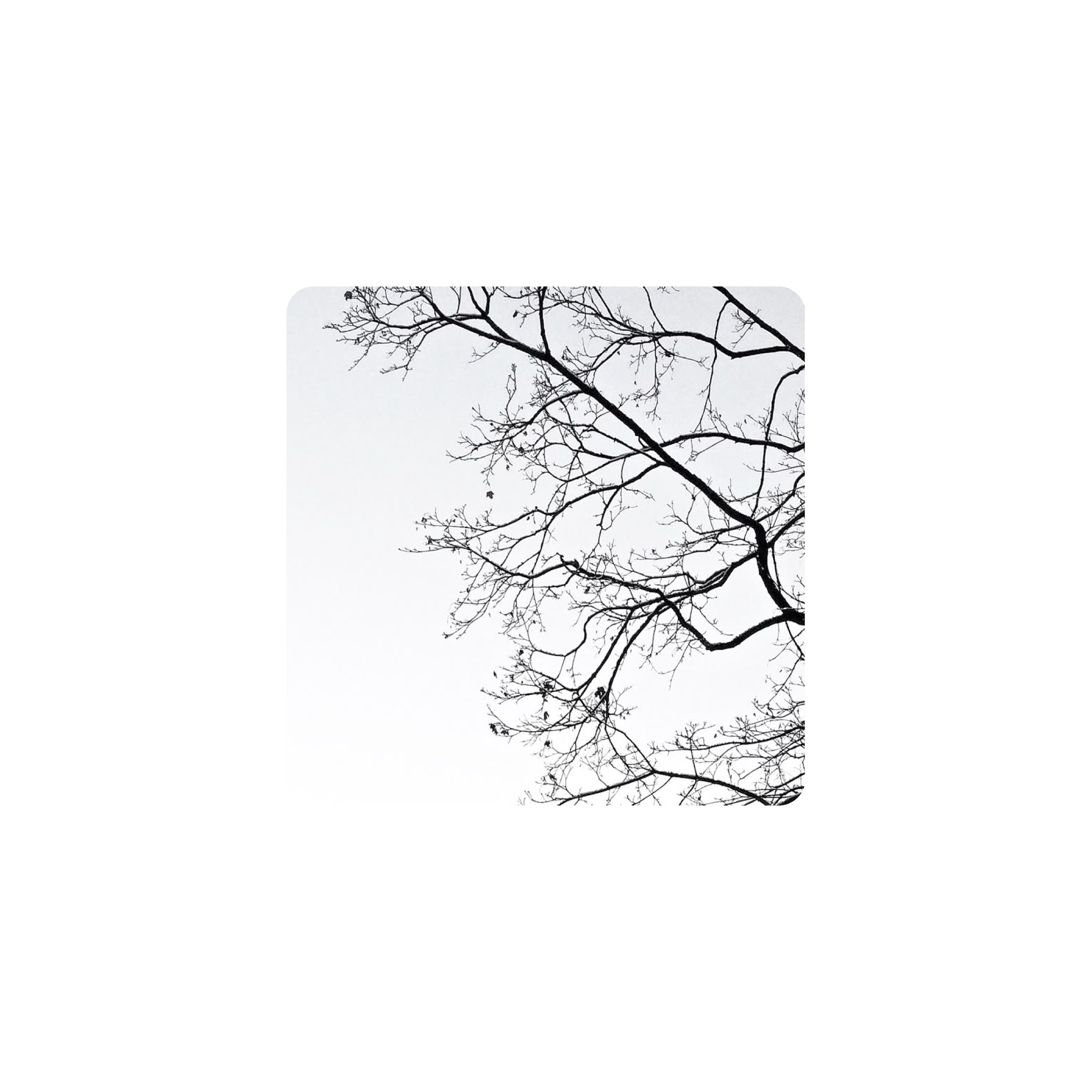 Mousepad Last remnants of winter 45x45 Classic | Custom
