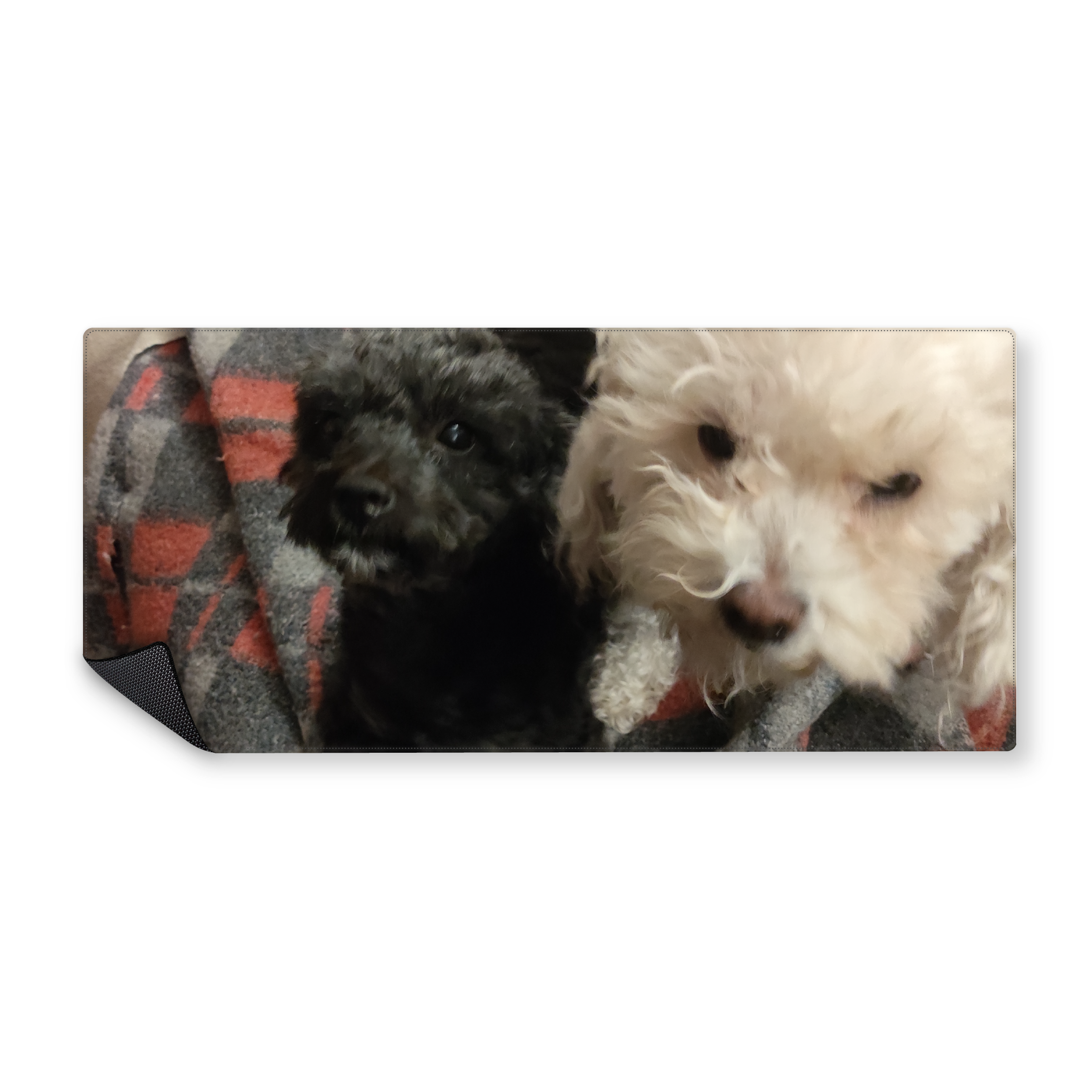 Mousepad Leia y Cleo 90x40 PRO | Custom