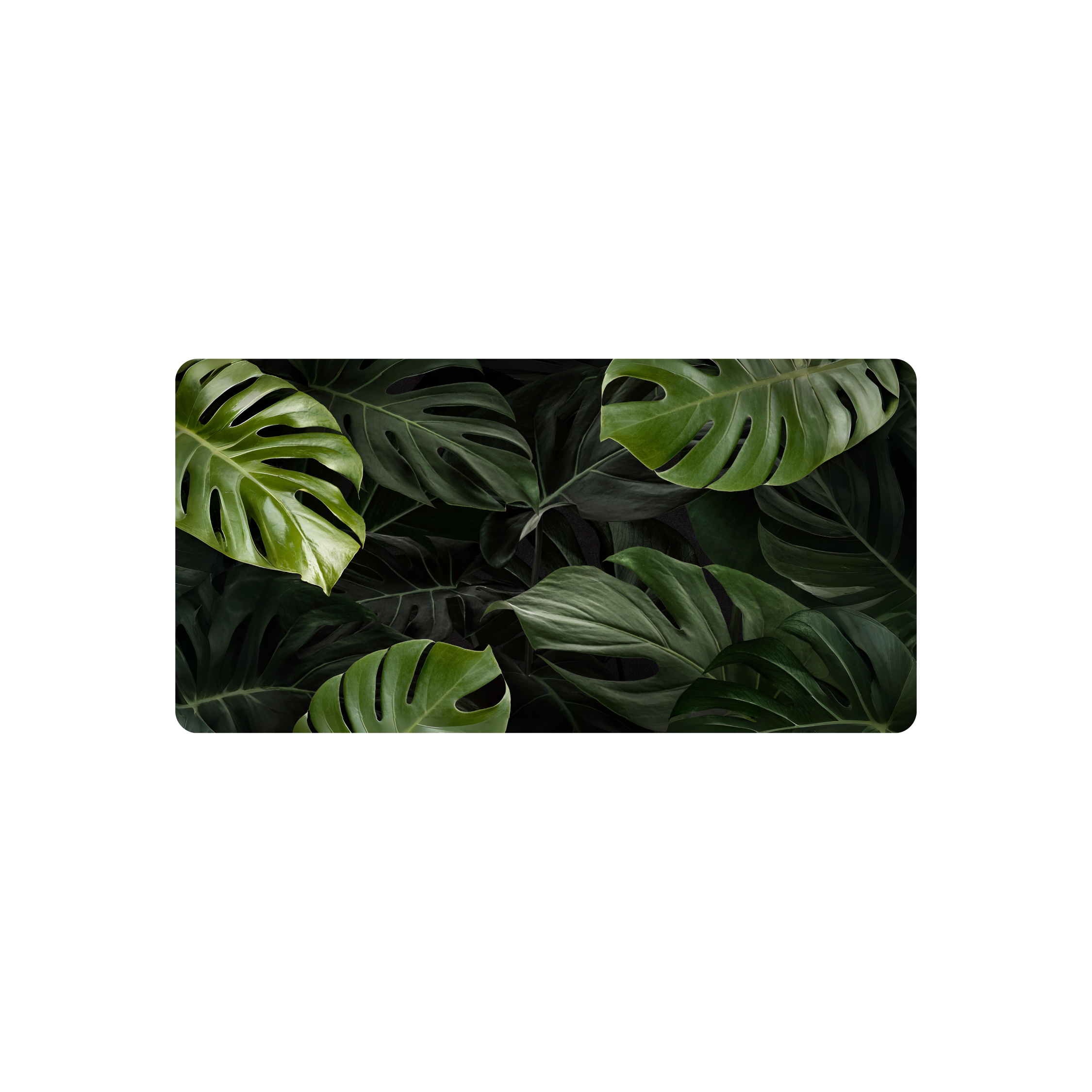 Mousepad Monstera 80x40 Classic | Custom