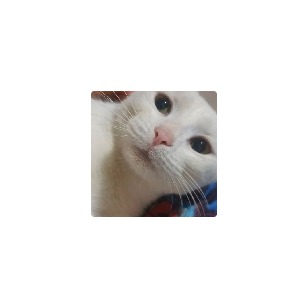 kiara_cat