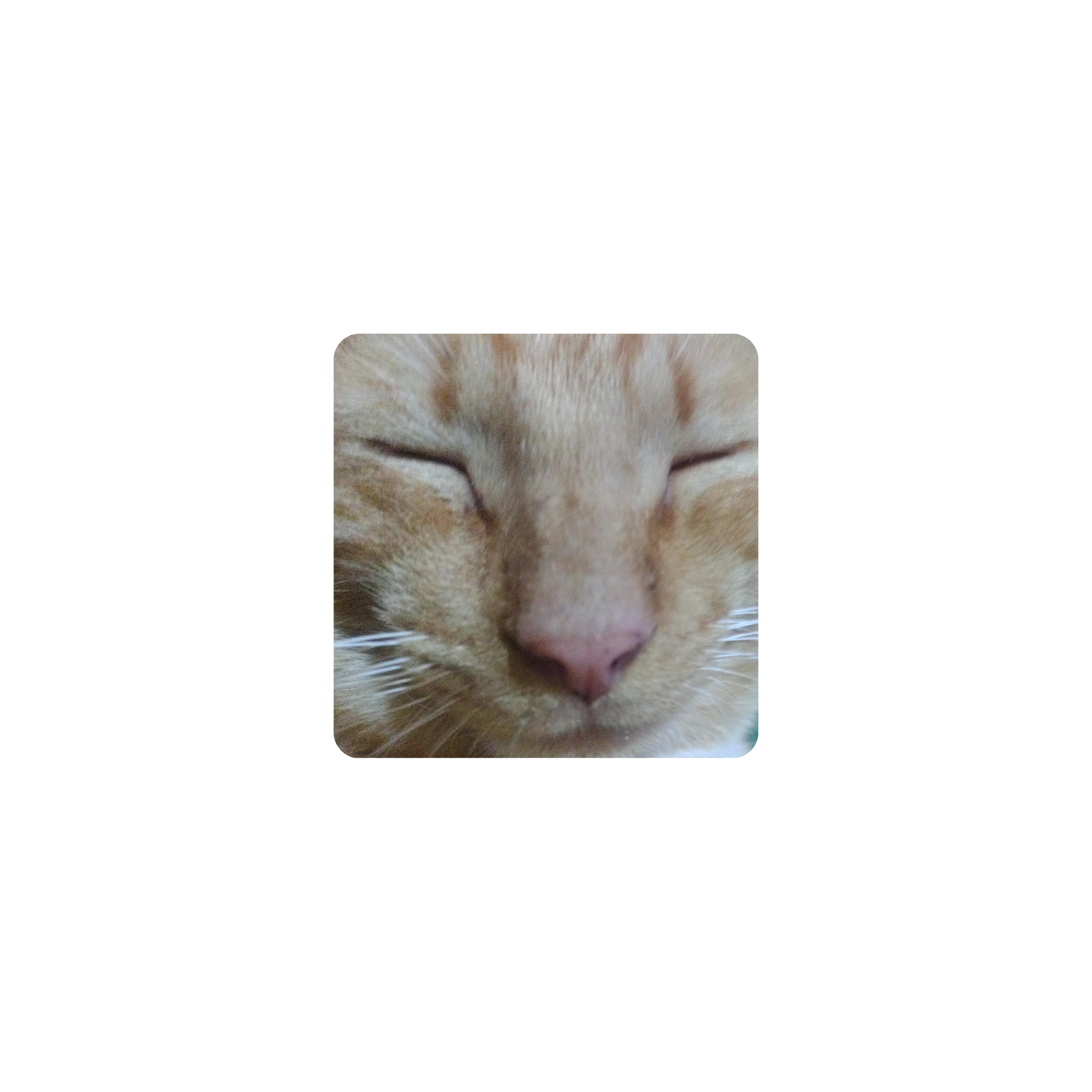 Mousepad Paco 25x25 Classic | Custom