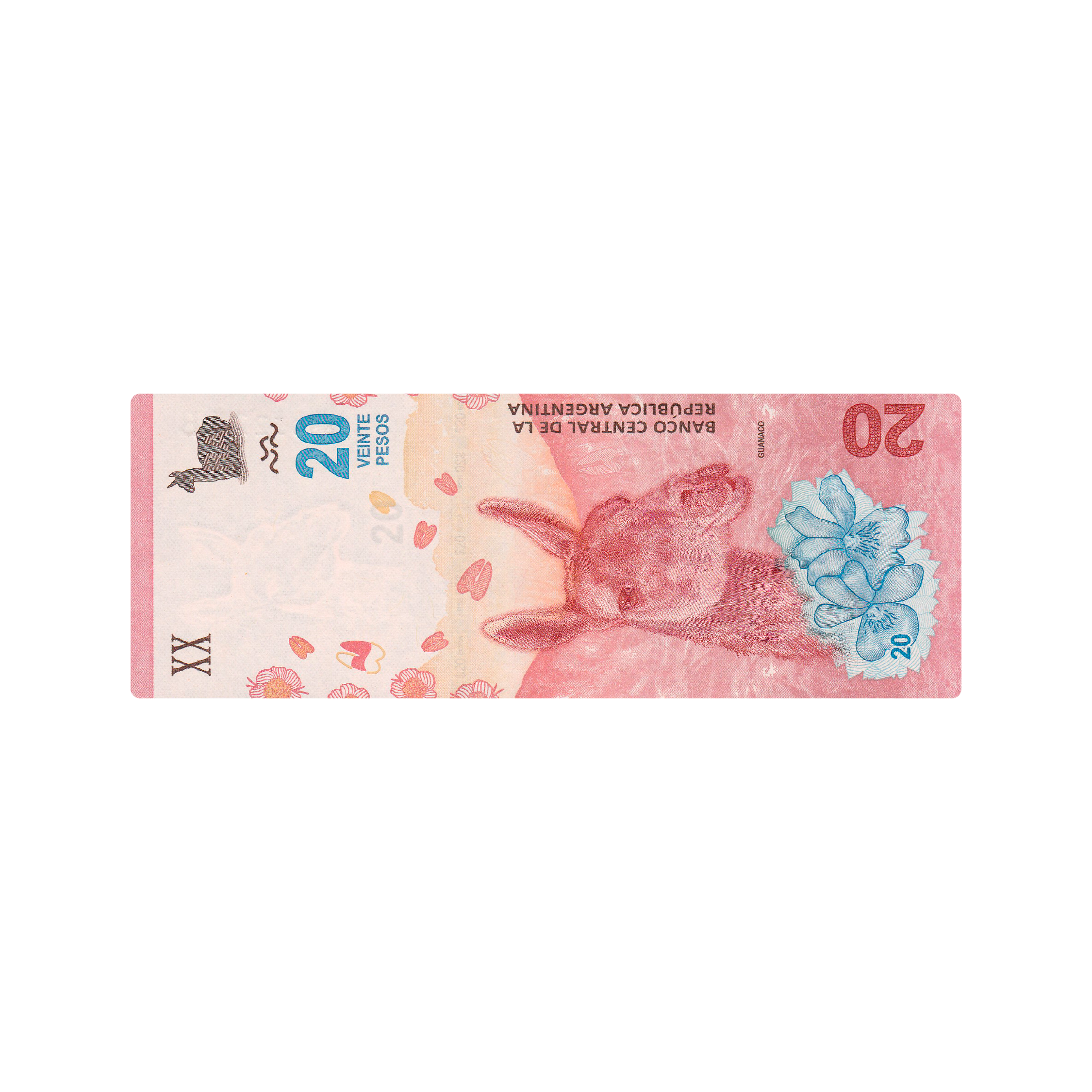 Mousepad 20 pesos guanaco 70x25 Classic | Custom