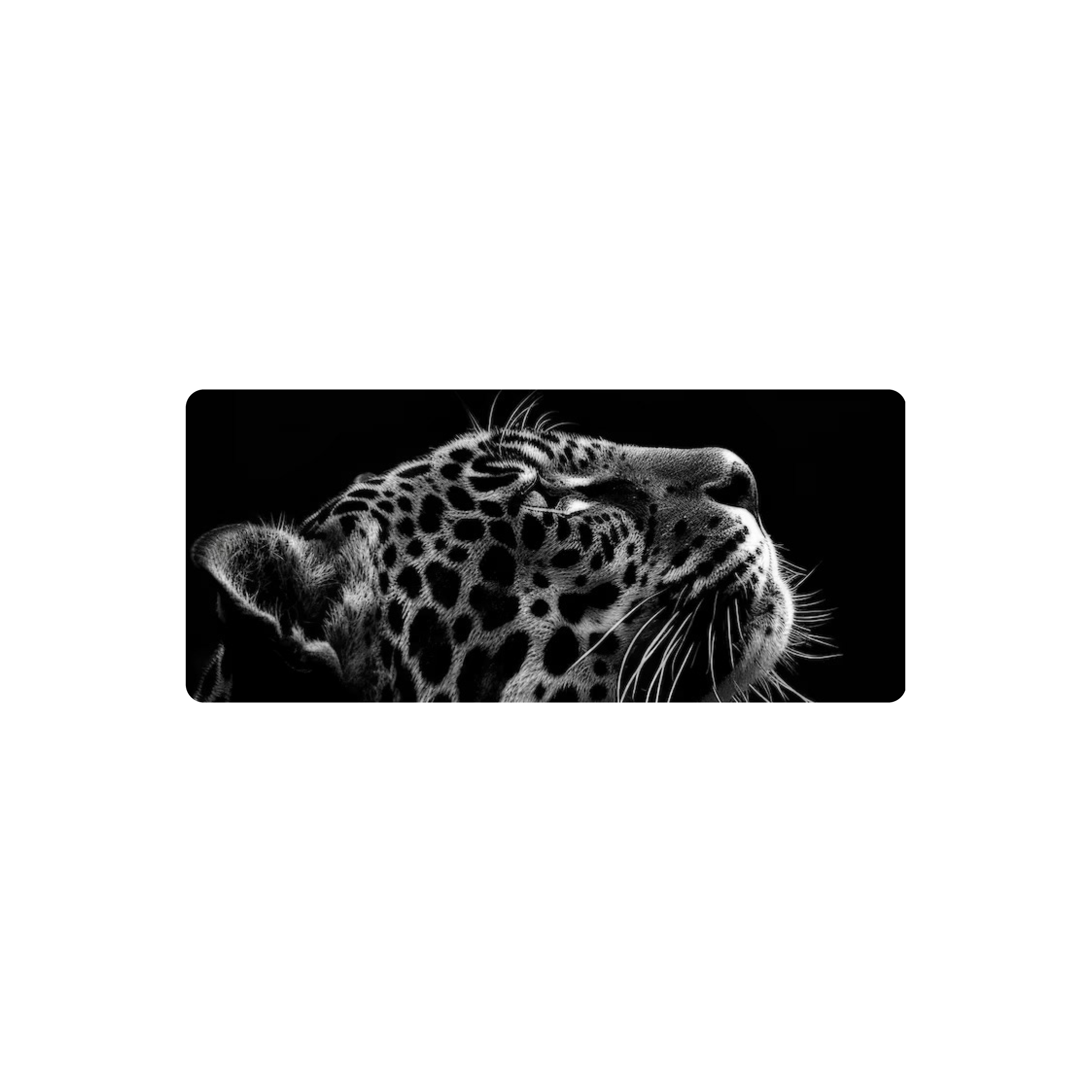 Mousepad Tigre blanco y negro 75x32 Classic | Custom