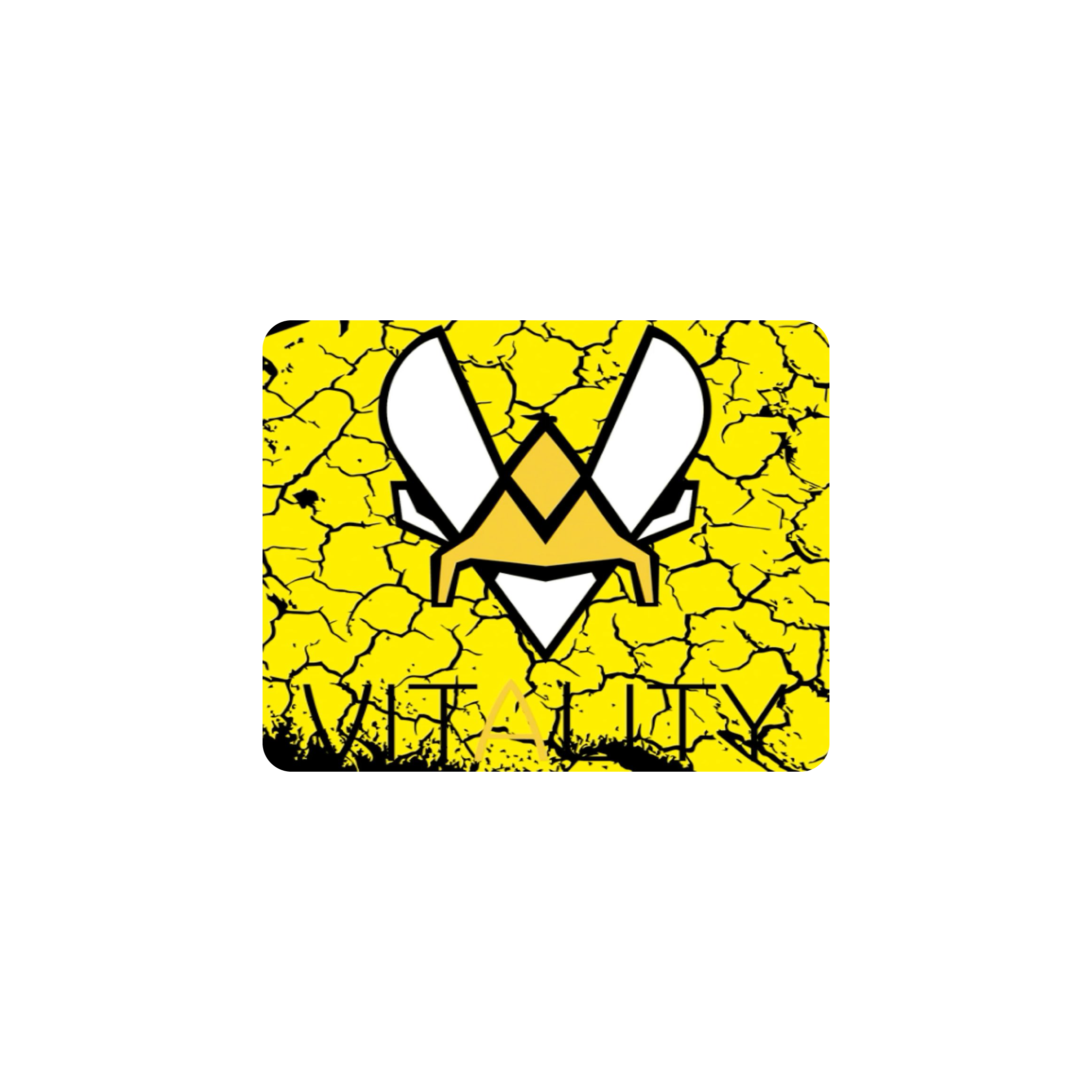 Mousepad Vitality cs 2 50x40 Classic | Custom