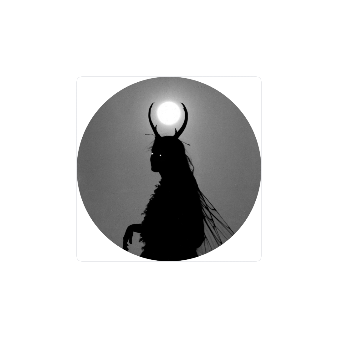 El hada y la luna
