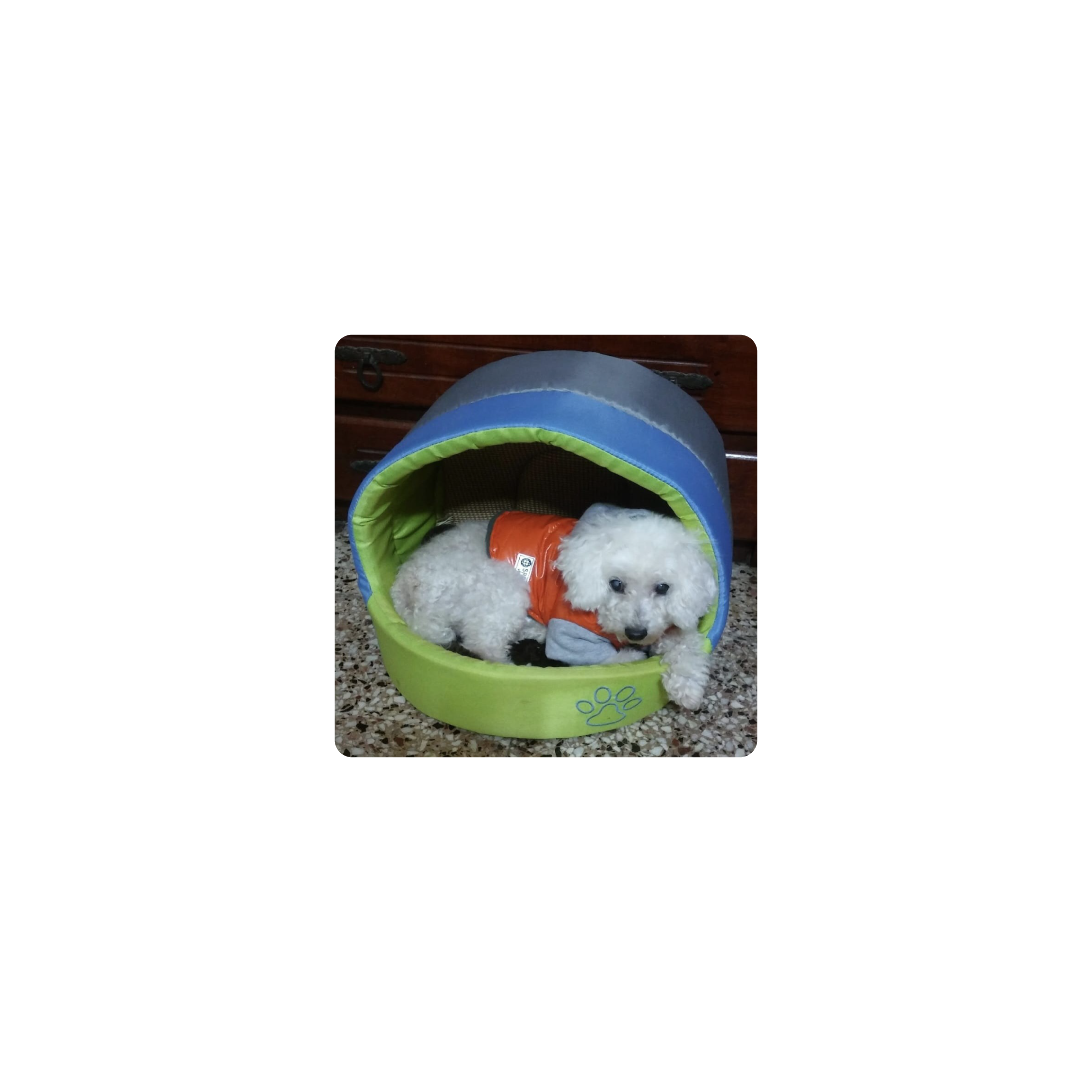 Mousepad benjy 25x25 Classic | Custom