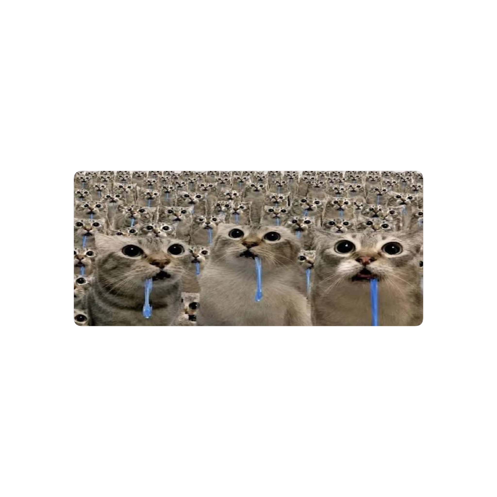 Abudabi