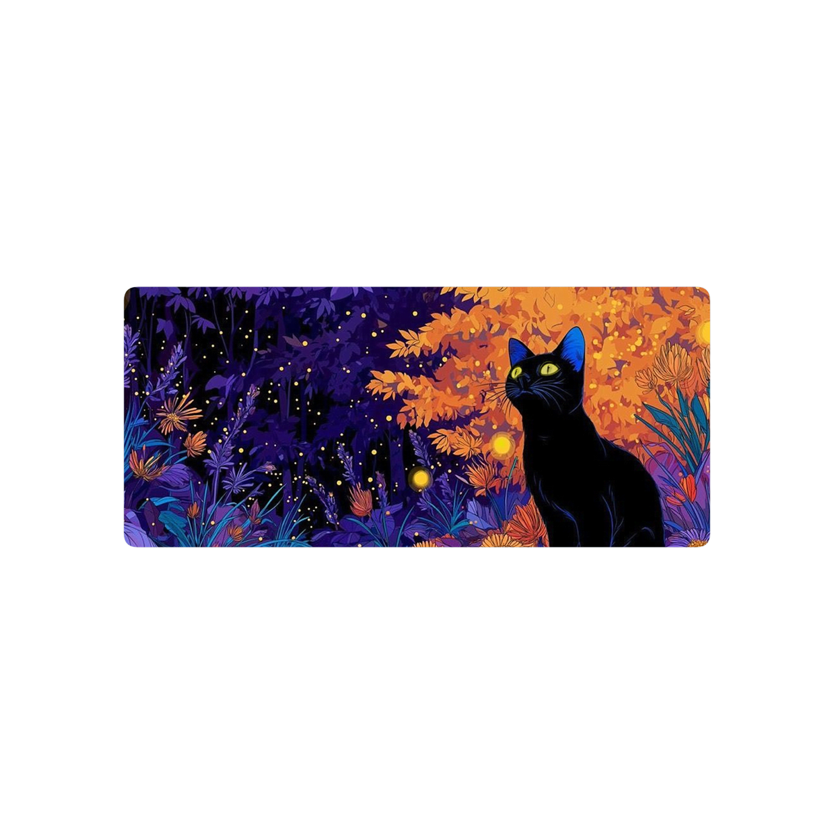 black cat forest