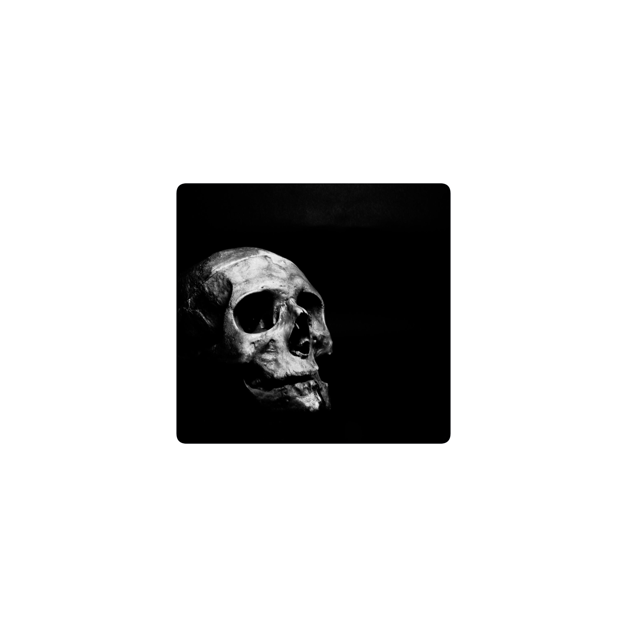 calavera blanca