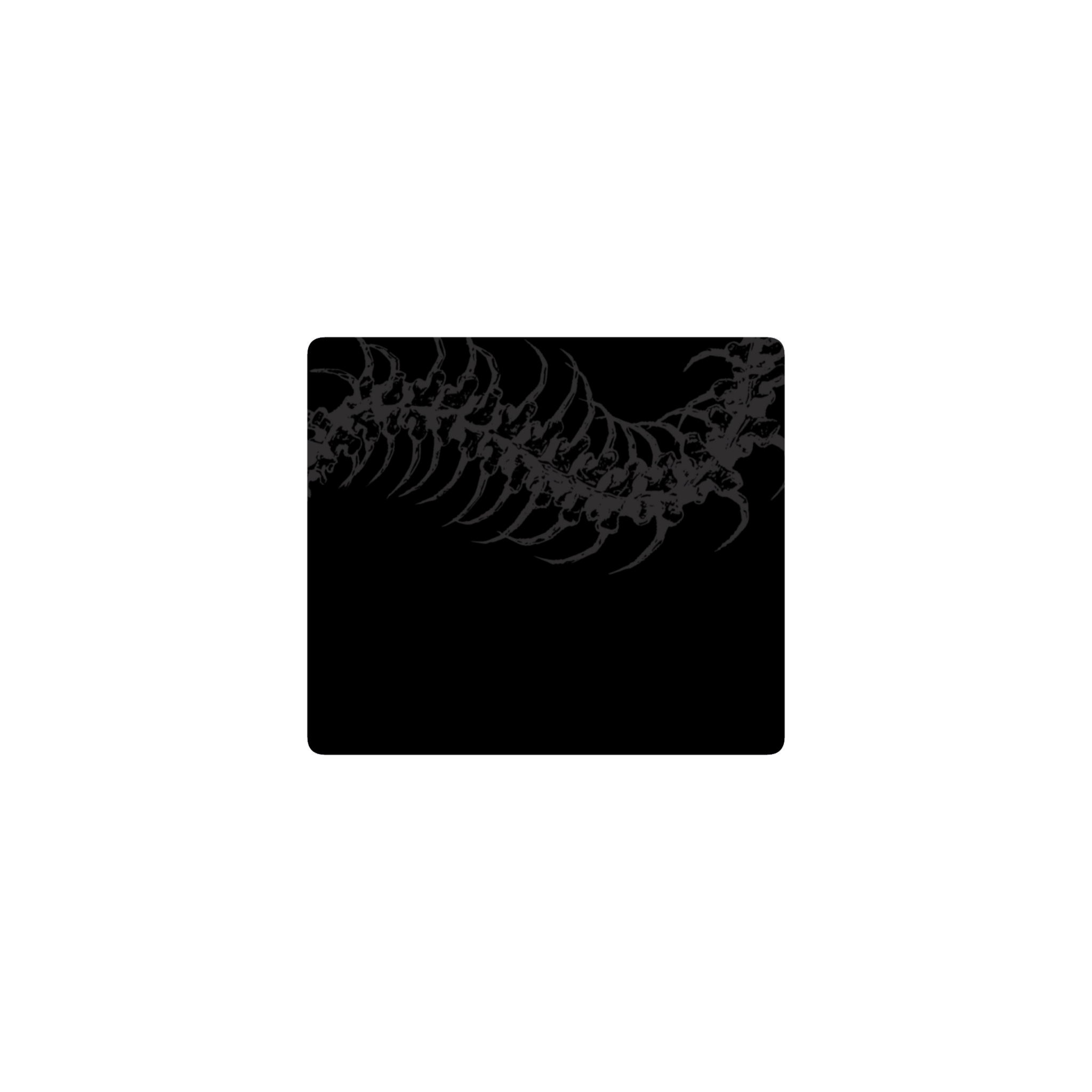 centipede
