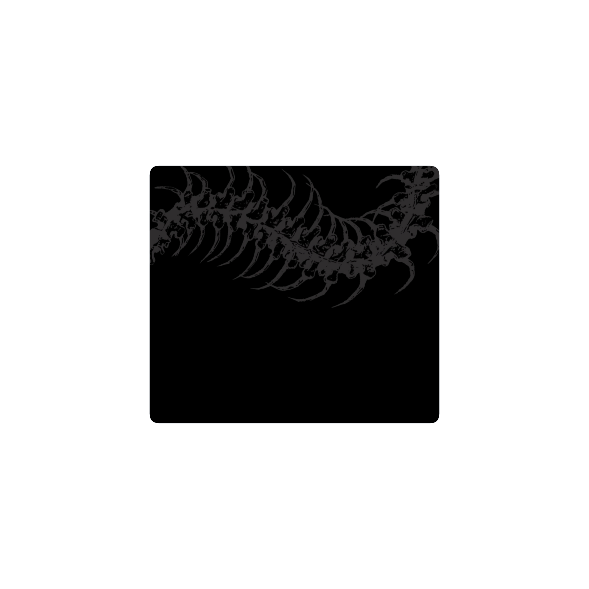 centipede