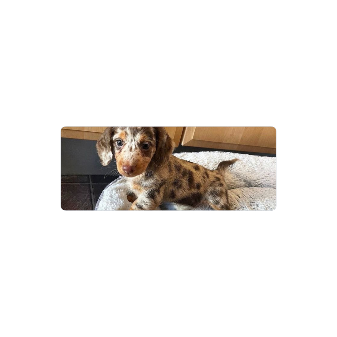 chalchichita