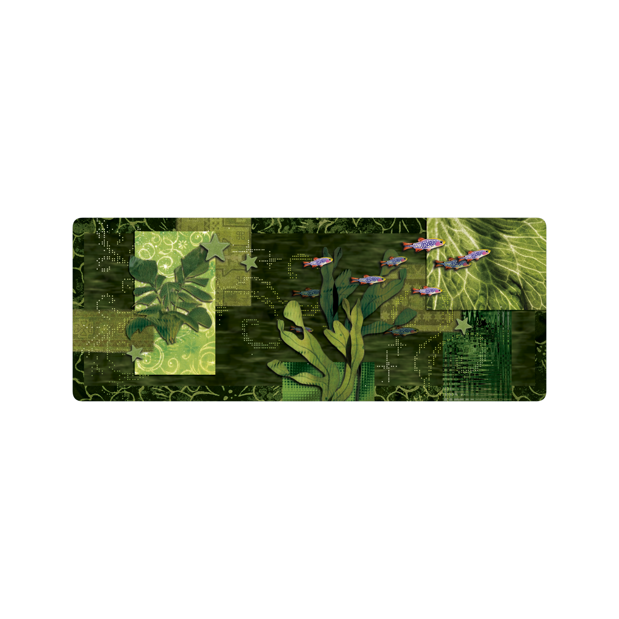 Collage Danio